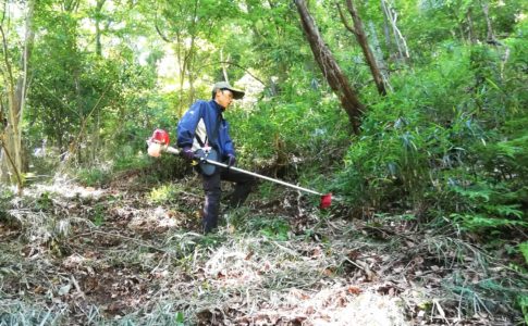 Cutting bamboo grass 草刈り